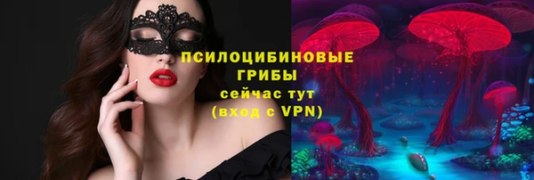 apvp Бикин