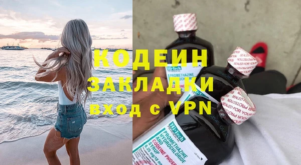 Альфа ПВП Няндома