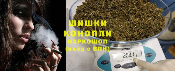 Альфа ПВП Няндома