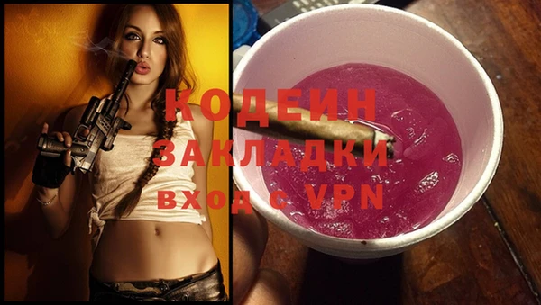 Альфа ПВП Няндома