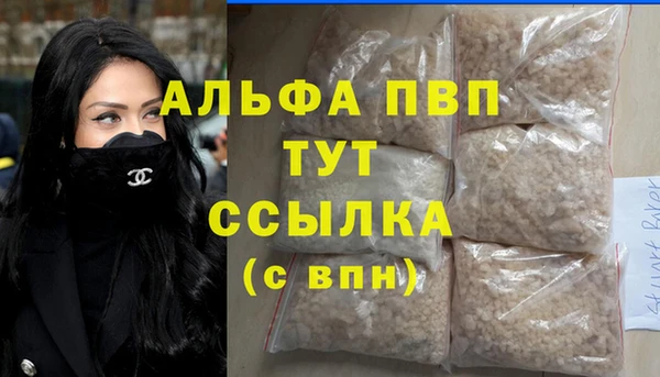 Альфа ПВП Няндома