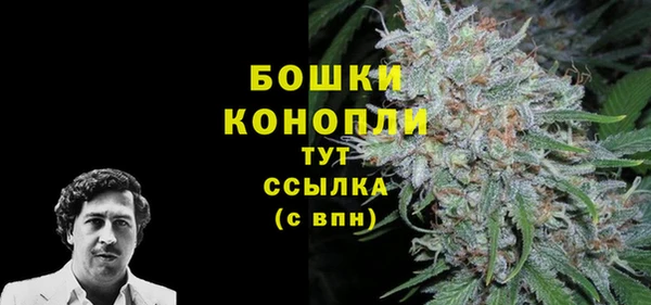 Альфа ПВП Няндома