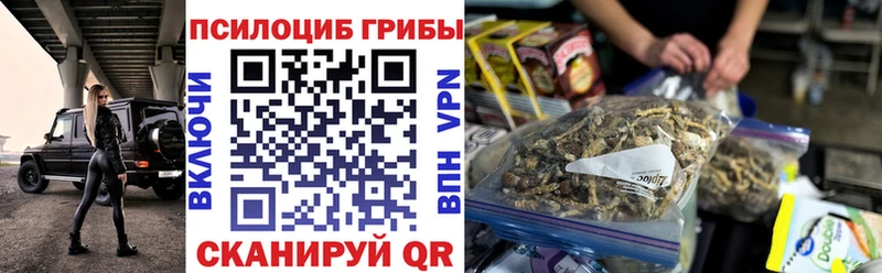 хочу Арск Псилоцибиновые грибы Cubensis